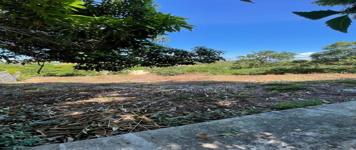 Foto de terreno habitacional en venta en  , residencial conejos, santa maría huatulco, oaxaca, 30764514 No. 05