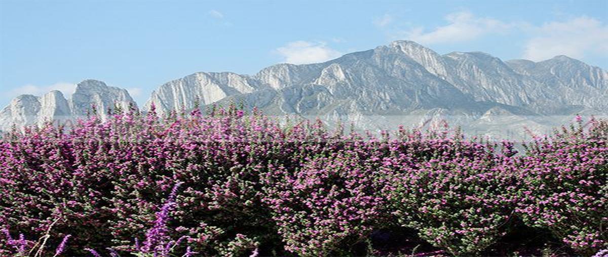 Foto de terreno habitacional en , residencial cordillera, santa catarina, nuevo león, 18670590 foto 01 Foto de terreno habitacional en venta en , residencial cordillera, santa catarina, nuevo león, 18670590 No. 01