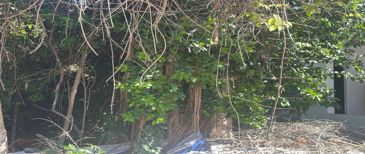 Foto de terreno habitacional en venta en  , residencial cumbres, benito juárez, quintana roo, 0 No. 03