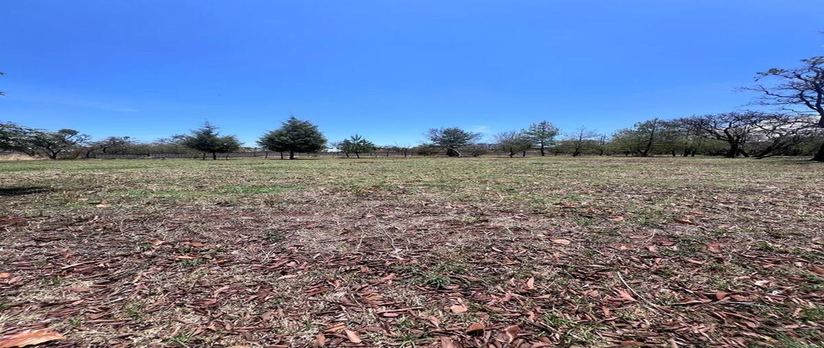 Foto de terreno habitacional en residencial del bosque , san jose de bazarte, tepatitlán de morelos, jalisco, 0 foto 04 Foto de terreno habitacional en venta en residencial del bosque , san jose de bazarte, tepatitlán de morelos, jalisco, 0 No. 04