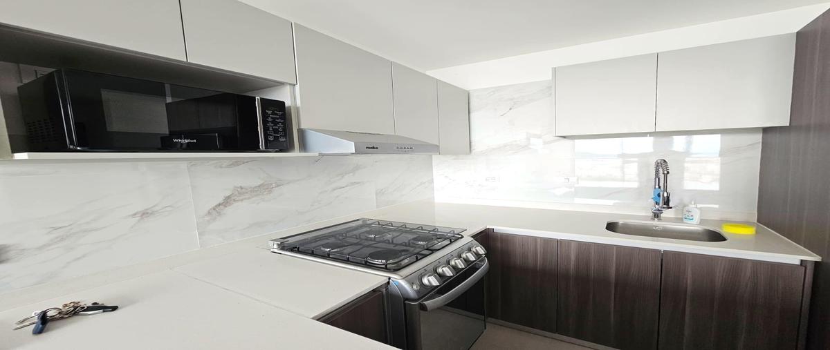 Foto de departamento en renta en  , residencial dinastía, monterrey, nuevo león, 0 No. 04