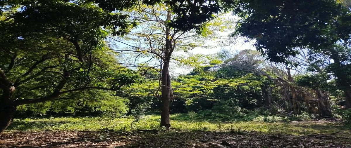 Foto de terreno habitacional en venta en  , residencial el colomo, manzanillo, colima, 0 No. 03
