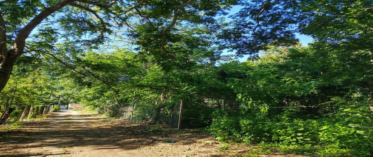 Foto de terreno habitacional en venta en  , residencial el colomo, manzanillo, colima, 0 No. 04