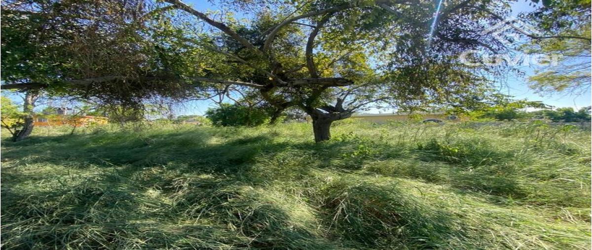 Foto de terreno habitacional en venta en  , residencial el náutico, altamira, tamaulipas, 0 No. 04