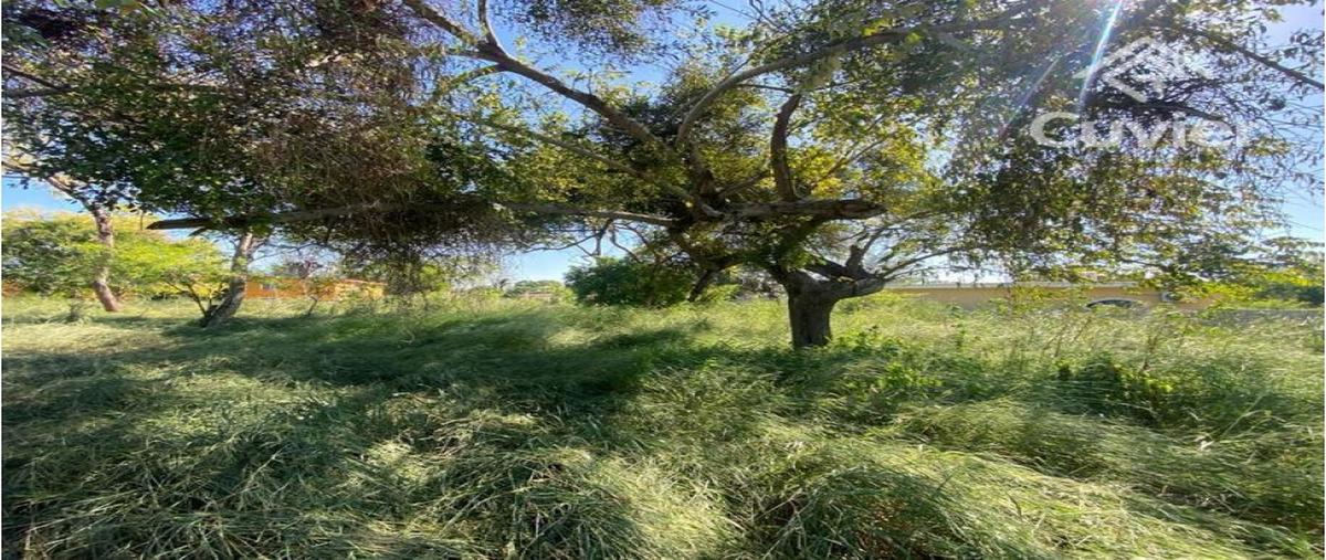 Foto de terreno habitacional en venta en  , residencial el náutico, altamira, tamaulipas, 0 No. 05