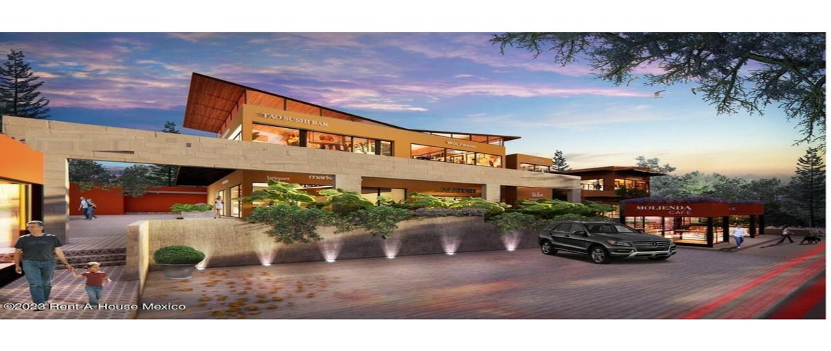 Foto de local en venta en  , residencial el refugio, querétaro, querétaro, 0 No. 04