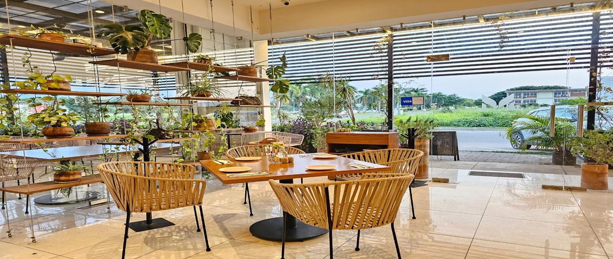 Foto de local en venta en  , residencial fluvial vallarta, puerto vallarta, jalisco, 0 No. 03