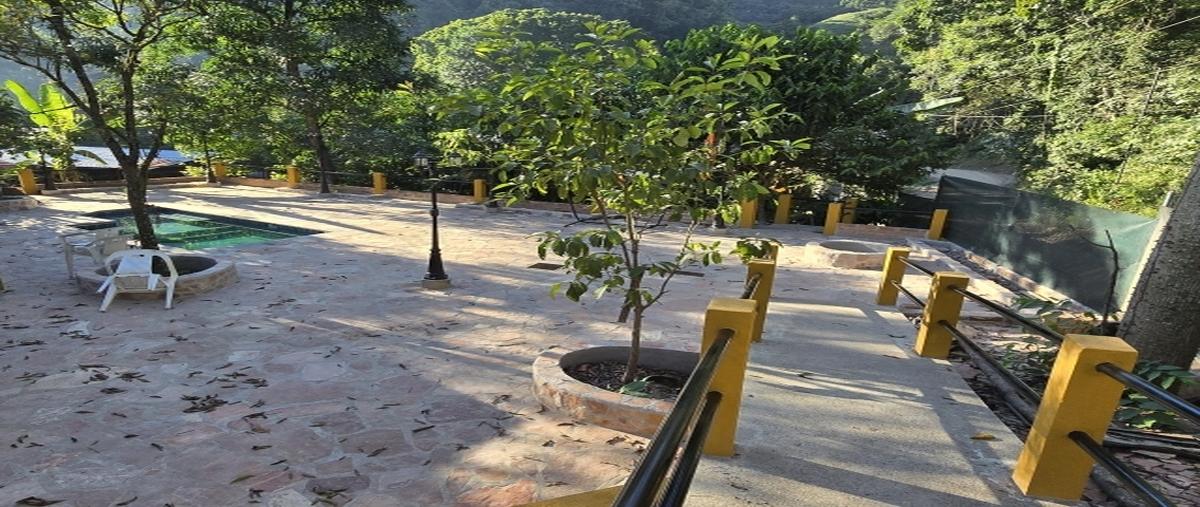 Foto de departamento en renta en  , residencial fluvial vallarta, puerto vallarta, jalisco, 0 No. 05