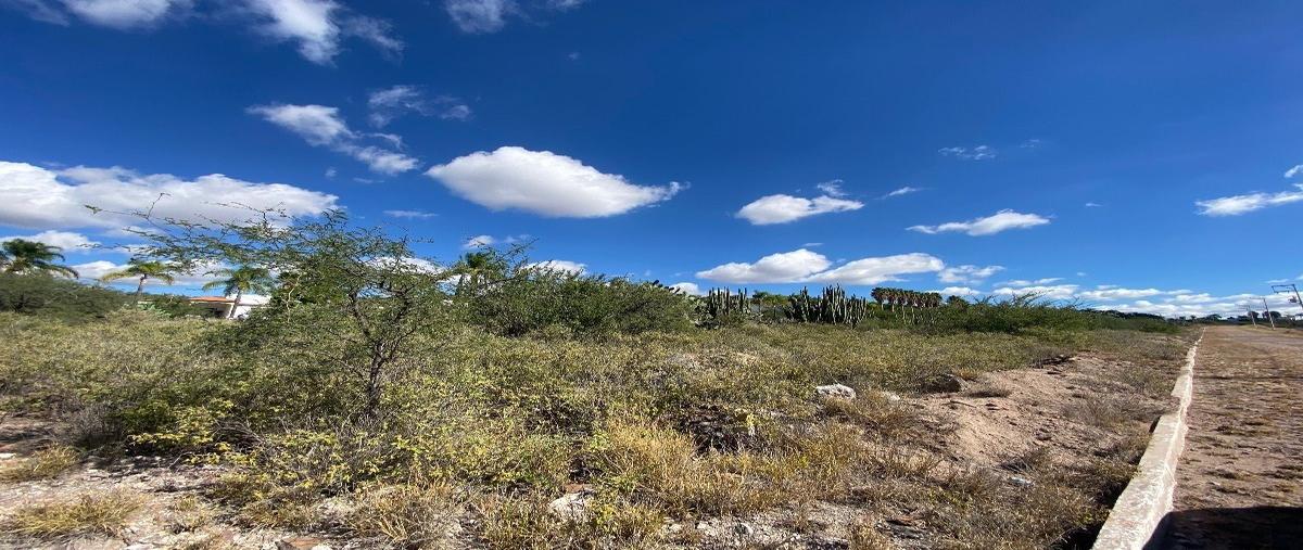 Foto de terreno habitacional en venta en  , residencial hacienda yextho, tecozautla, hidalgo, 27134802 No. 04