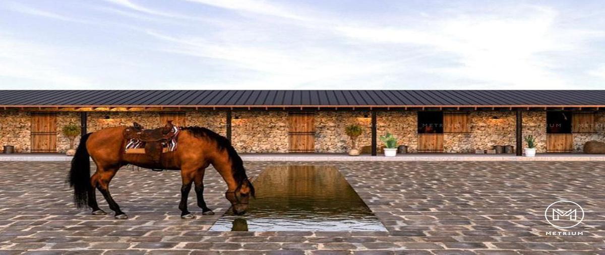 Foto de terreno comercial en venta en  , residencial la cantera, chihuahua, chihuahua, 26883808 No. 05