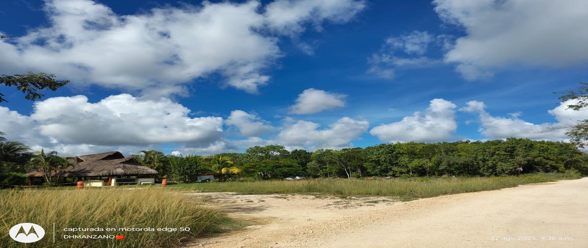 Foto de terreno habitacional en venta en  , residencial la cascada, benito juárez, quintana roo, 24119218 No. 05