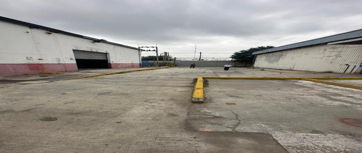 Foto de nave industrial en renta en  , residencial la española, monterrey, nuevo león, 0 No. 04