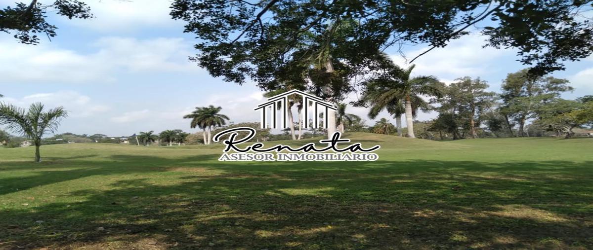 Foto de terreno habitacional en venta en  , residencial lagunas de miralta, altamira, tamaulipas, 17393758 No. 04