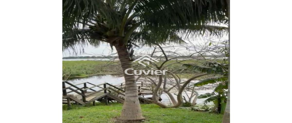 Foto de casa en venta en  , residencial lagunas de miralta, altamira, tamaulipas, 0 No. 04
