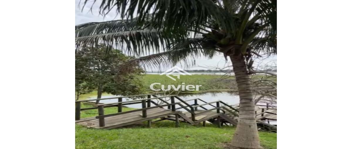 Foto de casa en venta en  , residencial lagunas de miralta, altamira, tamaulipas, 0 No. 05