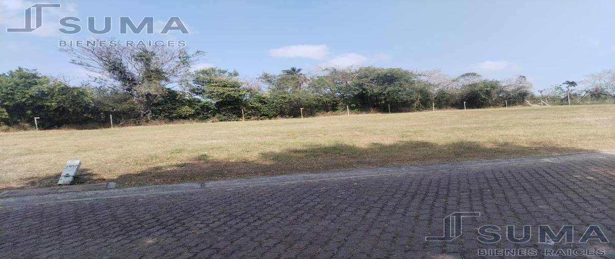 Foto de terreno habitacional en venta en  , residencial lagunas de miralta, altamira, tamaulipas, 0 No. 04