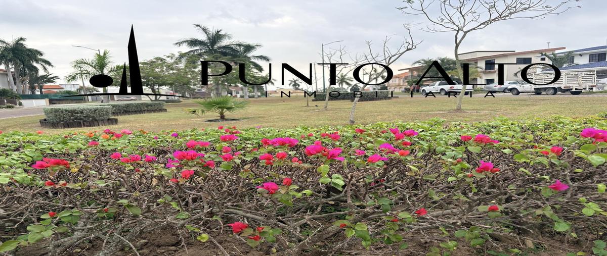 Foto de casa en venta en  , residencial lagunas de miralta, altamira, tamaulipas, 0 No. 05