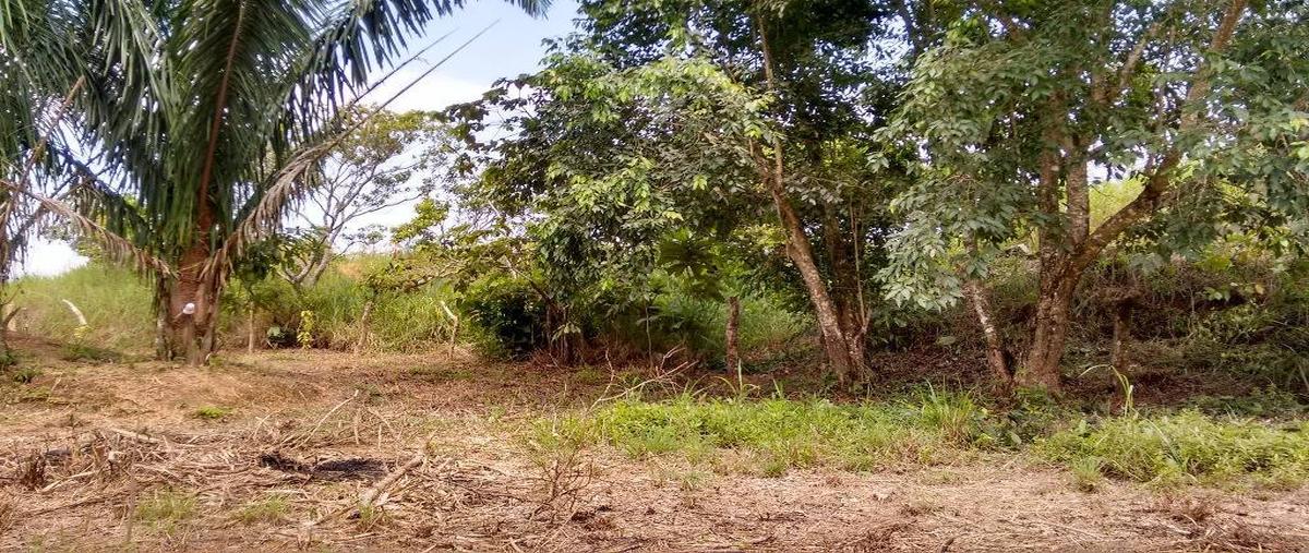 Foto de terreno habitacional en venta en  , residencial las olas, cosoleacaque, veracruz de ignacio de la llave, 26191569 No. 04