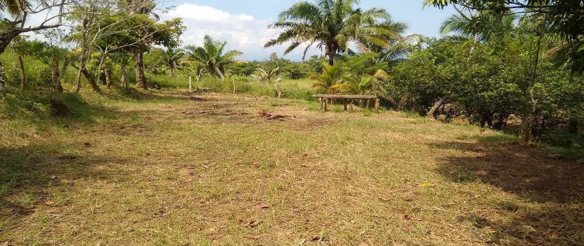 Foto de terreno habitacional en venta en  , residencial las olas, cosoleacaque, veracruz de ignacio de la llave, 26191569 No. 05
