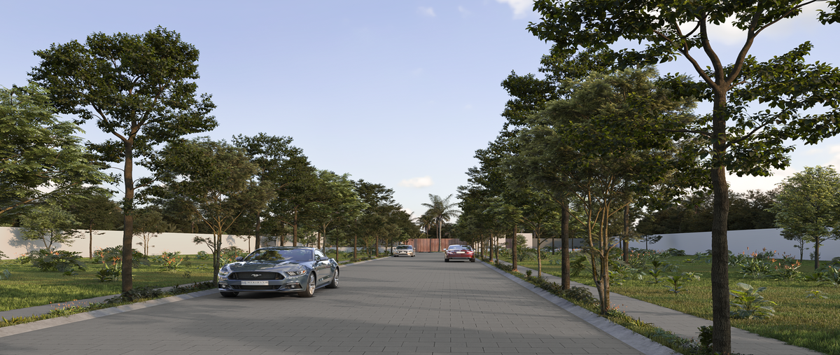 Foto de terreno habitacional en venta en  , residencial las palmas, carmen, campeche, 29856454 No. 04