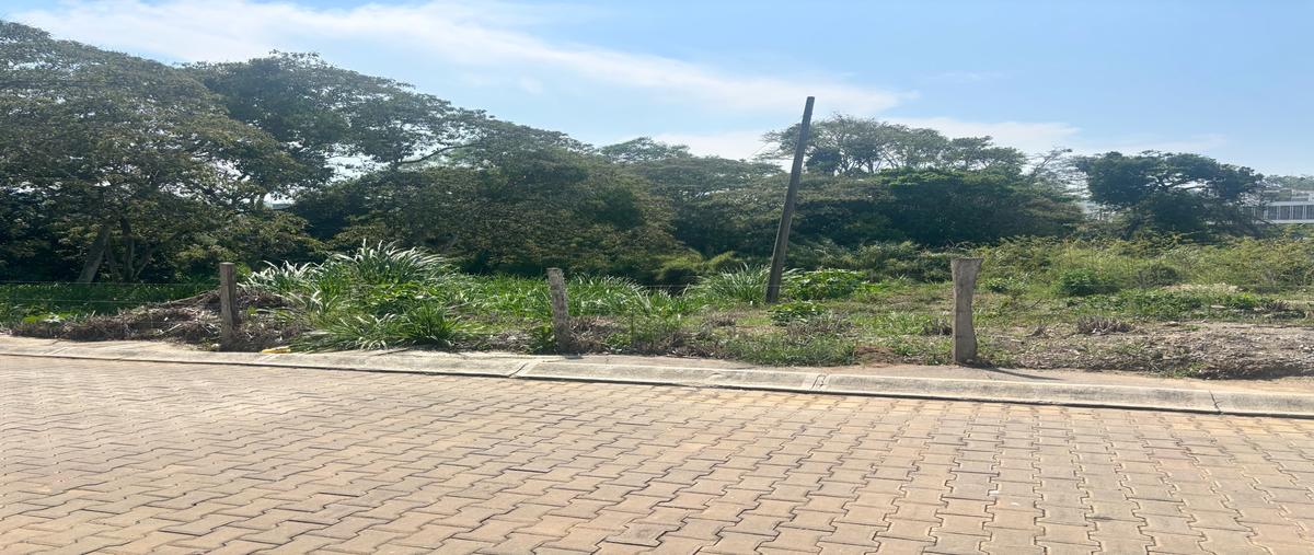 Foto de terreno habitacional en venta en  , residencial monte magno, xalapa, veracruz de ignacio de la llave, 0 No. 03
