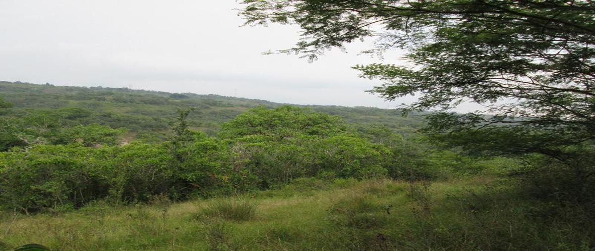 Foto de terreno habitacional en venta en  , residencial monte magno, xalapa, veracruz de ignacio de la llave, 6696706 No. 03