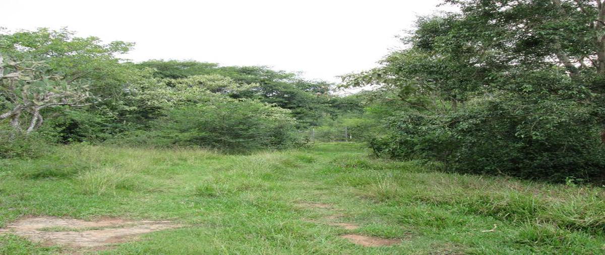 Foto de terreno habitacional en venta en  , residencial monte magno, xalapa, veracruz de ignacio de la llave, 6696706 No. 07