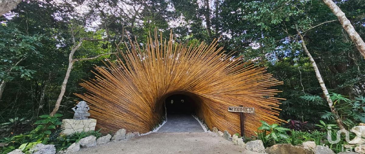 Foto de terreno habitacional en venta en residencial mukta 149, puerto morelos, puerto morelos, quintana roo, 30914537 No. 03