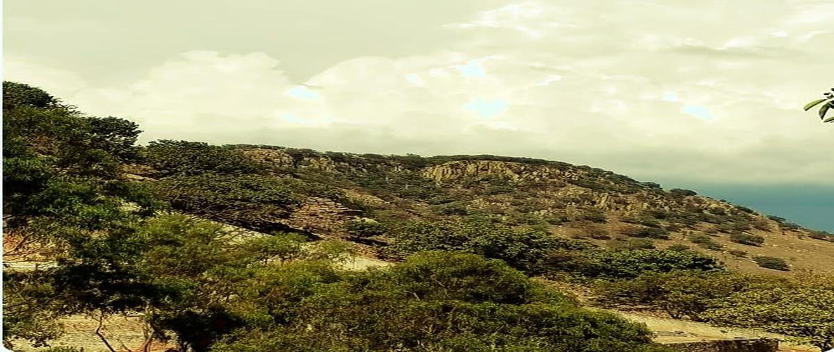 Foto de terreno habitacional en , residencial parque virreyes, zapopan, jalisco, 27776101 foto 01 Foto de terreno habitacional en venta en , residencial parque virreyes, zapopan, jalisco, 27776101 No. 01