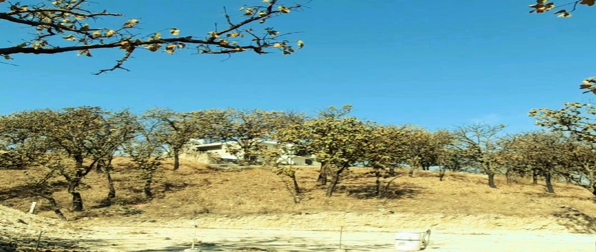 Foto de terreno habitacional en , residencial parque virreyes, zapopan, jalisco, 27776101 foto 02 Foto de terreno habitacional en venta en , residencial parque virreyes, zapopan, jalisco, 27776101 No. 02