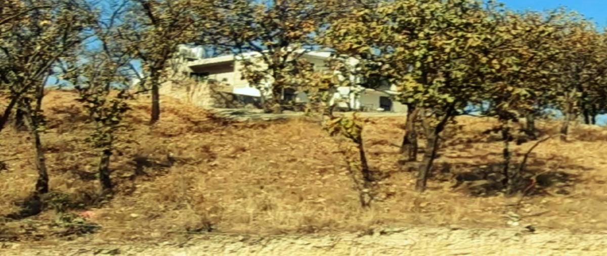 Foto de terreno habitacional en , residencial parque virreyes, zapopan, jalisco, 27776101 foto 03 Foto de terreno habitacional en venta en , residencial parque virreyes, zapopan, jalisco, 27776101 No. 03