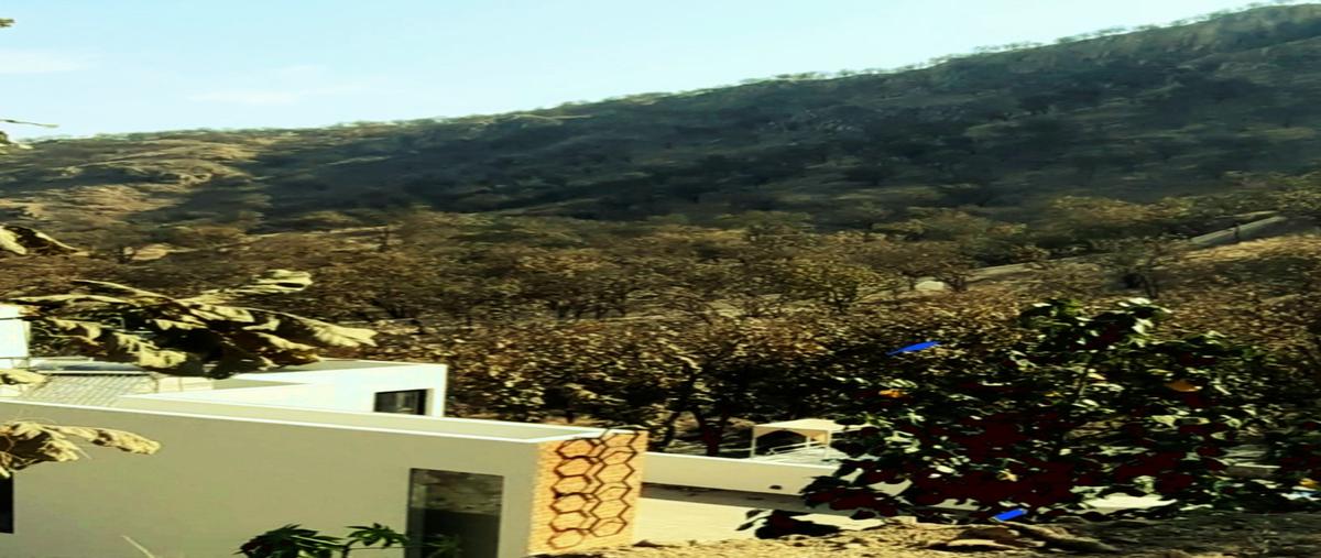 Foto de terreno habitacional en , residencial parque virreyes, zapopan, jalisco, 27776101 foto 05 Foto de terreno habitacional en venta en , residencial parque virreyes, zapopan, jalisco, 27776101 No. 05