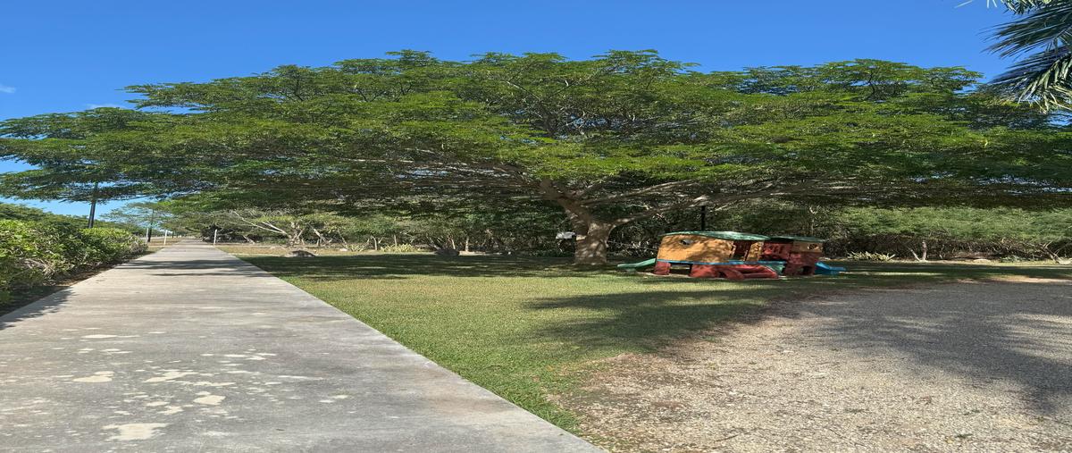 Foto de terreno habitacional en venta en residencial phula , dzidzilché, mérida, yucatán, 29093649 No. 05