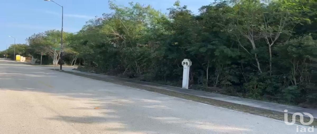 Foto de terreno habitacional en venta en residencial phula , progreso de castro centro, progreso, yucatán, 0 No. 03