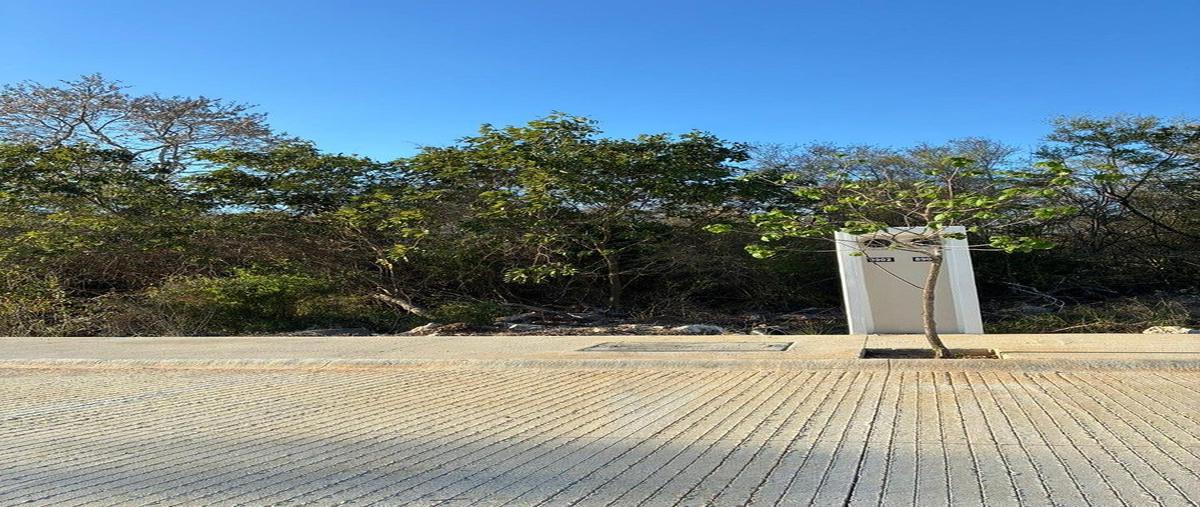Foto de terreno habitacional en venta en residencial provincia , komchen, mérida, yucatán, 0 No. 06