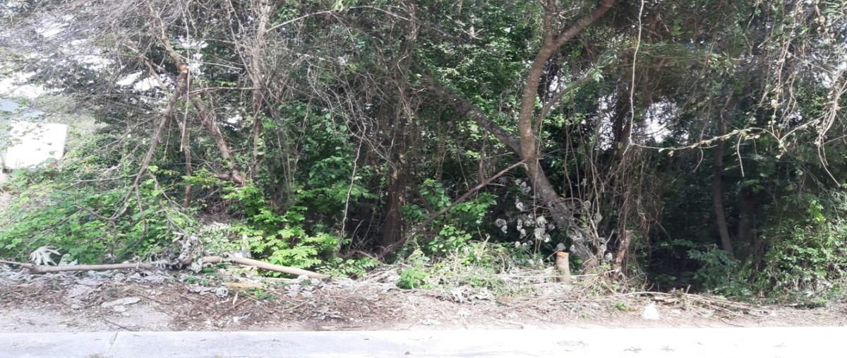Foto de terreno habitacional en venta en residencial puntarena, lote 1, conjunto 5. , puerto morelos, puerto morelos, quintana roo, 11958751 No. 02