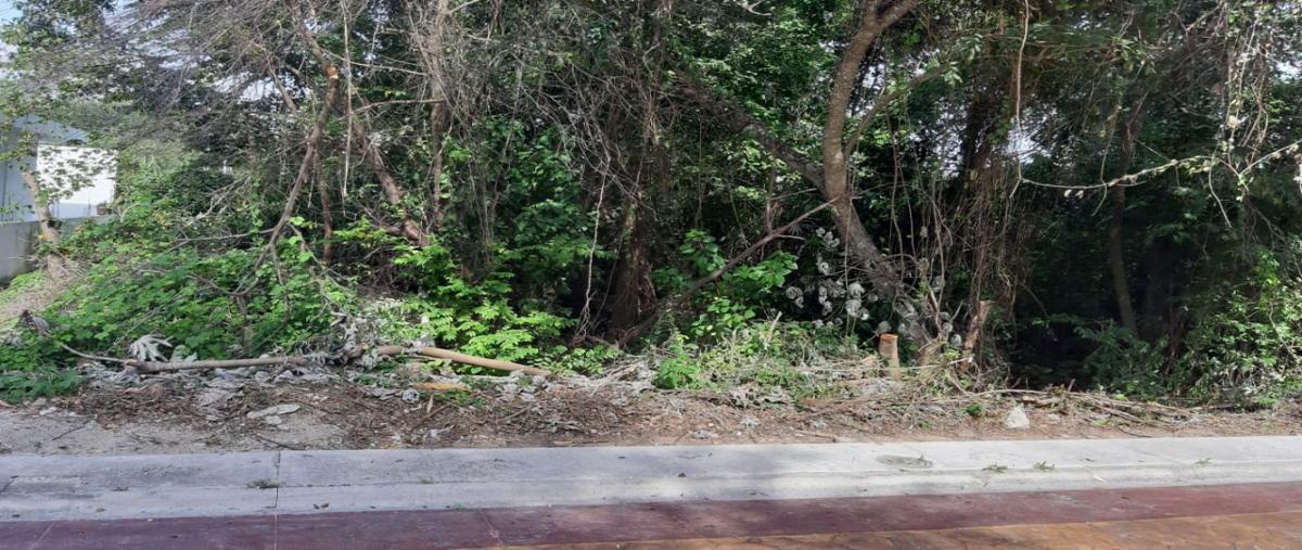 Foto de terreno habitacional en venta en residencial puntarena, lote 1, conjunto 5. , puerto morelos, puerto morelos, quintana roo, 11958751 No. 03