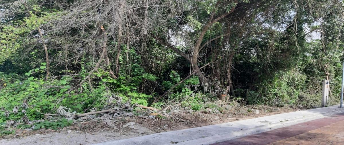 Foto de terreno habitacional en venta en residencial puntarena, lote 1, conjunto 5. , puerto morelos, puerto morelos, quintana roo, 11958751 No. 04