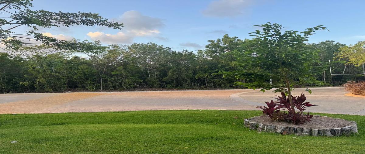 Foto de terreno habitacional en venta en  , residencial río, benito juárez, quintana roo, 0 No. 03