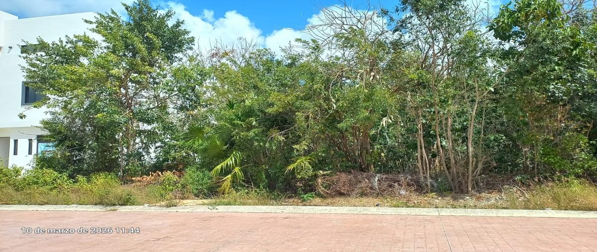 Foto de terreno habitacional en venta en  , residencial río, benito juárez, quintana roo, 31721781 No. 03