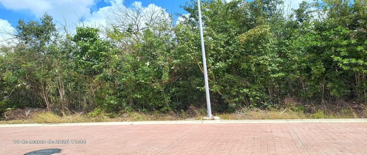 Foto de terreno habitacional en venta en  , residencial río, benito juárez, quintana roo, 0 No. 04