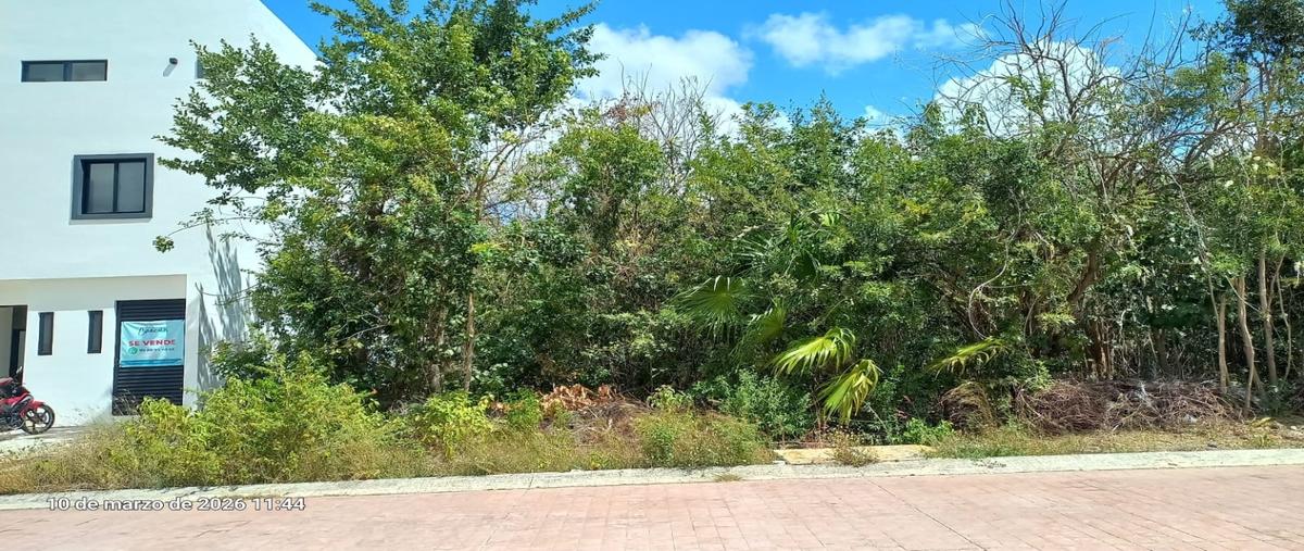 Foto de terreno habitacional en venta en  , residencial río, benito juárez, quintana roo, 0 No. 05