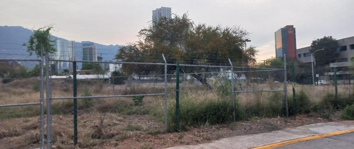 Foto de terreno habitacional en venta en  , residencial san agustín primer sector, san pedro garza garcía, nuevo león, 28728338 No. 04
