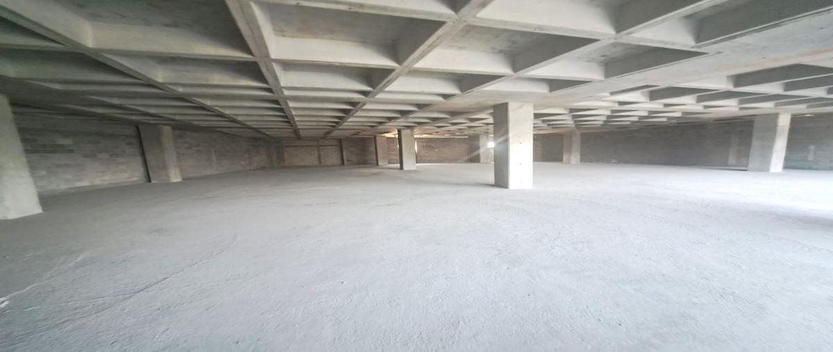 Foto de oficina en renta en  , residencial san agustín primer sector, san pedro garza garcía, nuevo león, 0 No. 05