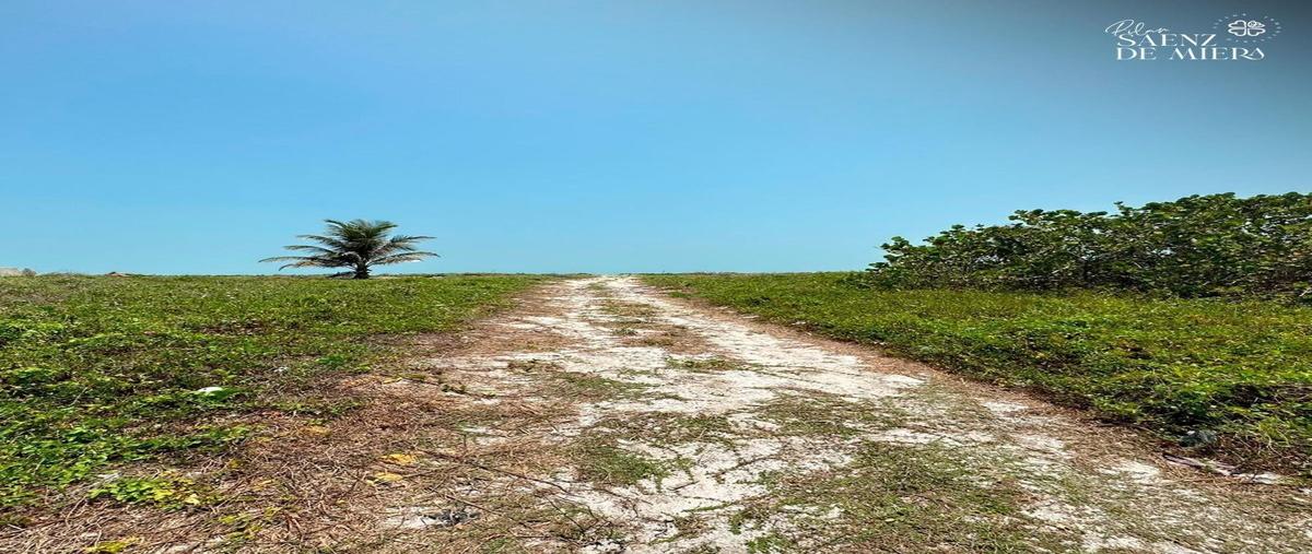 Foto de terreno habitacional en renta en  , residencial san miguel, carmen, campeche, 26666843 No. 05