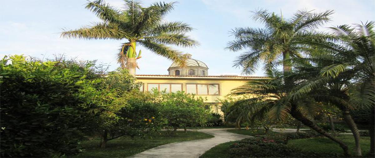 Foto de casa en venta en  , residencial sumiya, jiutepec, morelos, 20664140 No. 03