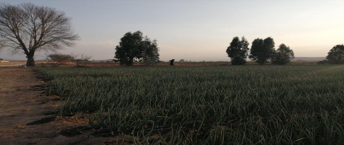 Foto de terreno habitacional en , residencial tequisquiapan, tequisquiapan, querétaro, 29123817 foto 02 Foto de terreno habitacional en venta en , residencial tequisquiapan, tequisquiapan, querétaro, 29123817 No. 02