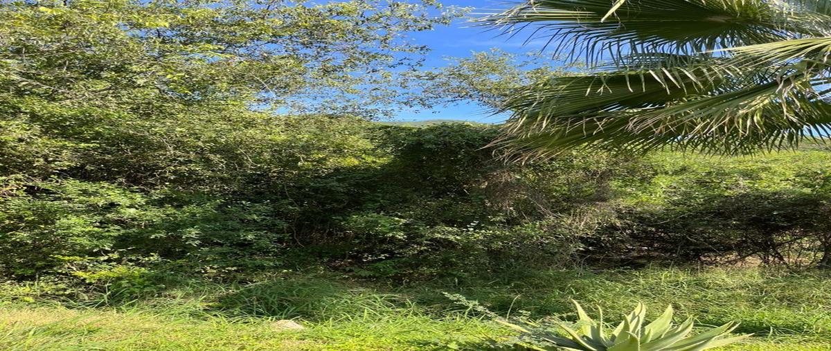 Foto de terreno habitacional en venta en  , residencial y club de golf la herradura etapa a, monterrey, nuevo león, 27686719 No. 05