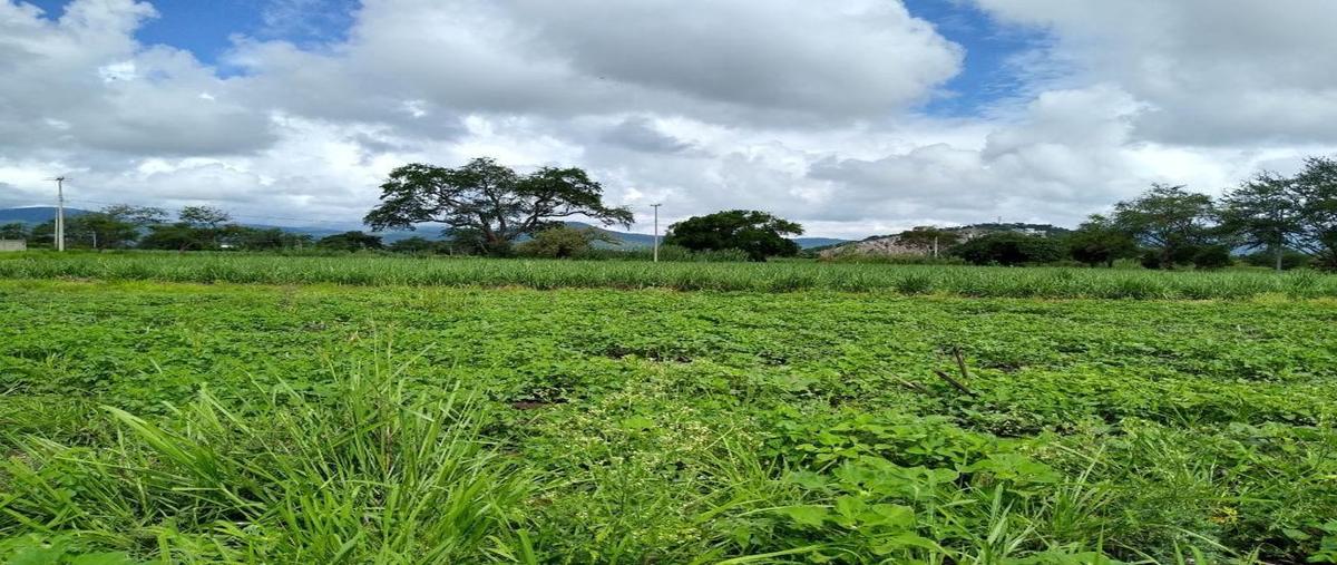 Foto de terreno habitacional en venta en  , residencial yautepec, yautepec, morelos, 27158749 No. 01