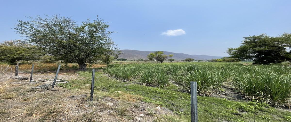 Foto de terreno habitacional en venta en  , residencial yautepec, yautepec, morelos, 0 No. 02